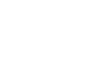 fiesta-hotels-resorts-logo-27D7812376-seeklogo.com