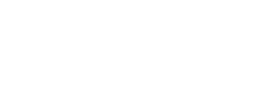 princess_hotel_logo